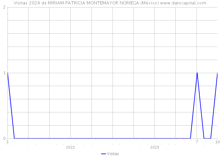Visitas 2024 de MIRIAM PATRICIA MONTEMAYOR NORIEGA (México) 