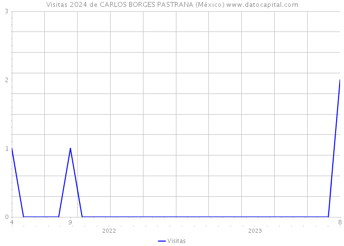 Visitas 2024 de CARLOS BORGES PASTRANA (México) 