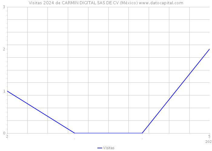 Visitas 2024 de CARMIN DIGITAL SAS DE CV (México) 