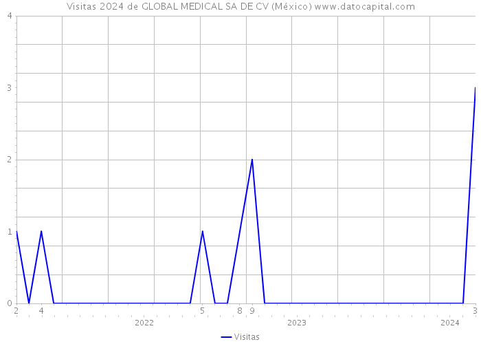 Visitas 2024 de GLOBAL MEDICAL SA DE CV (México) 