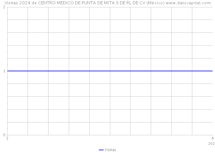 Visitas 2024 de CENTRO MEDICO DE PUNTA DE MITA S DE RL DE CV (México) 