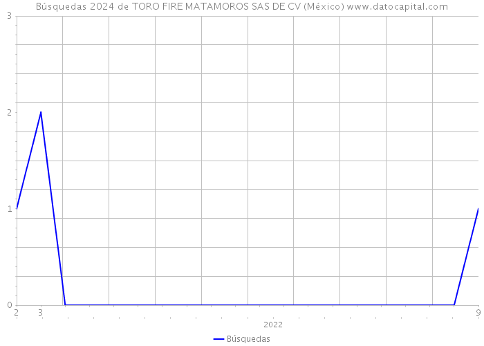 Búsquedas 2024 de TORO FIRE MATAMOROS SAS DE CV (México) 