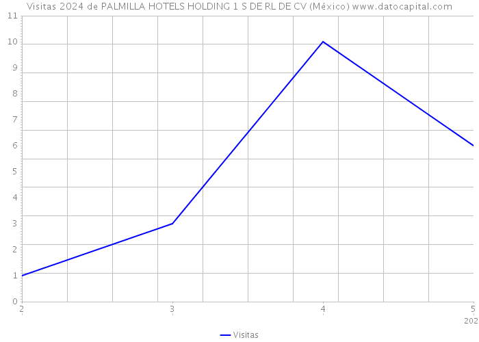 Visitas 2024 de PALMILLA HOTELS HOLDING 1 S DE RL DE CV (México) 