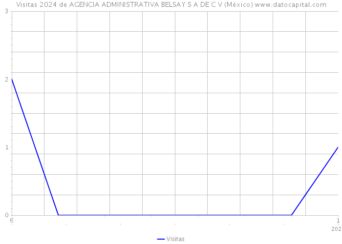 Visitas 2024 de AGENCIA ADMINISTRATIVA BELSAY S A DE C V (México) 