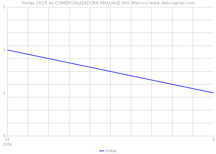 Visitas 2024 de COMERCIALIZADORA MALUALE SAS (México) 