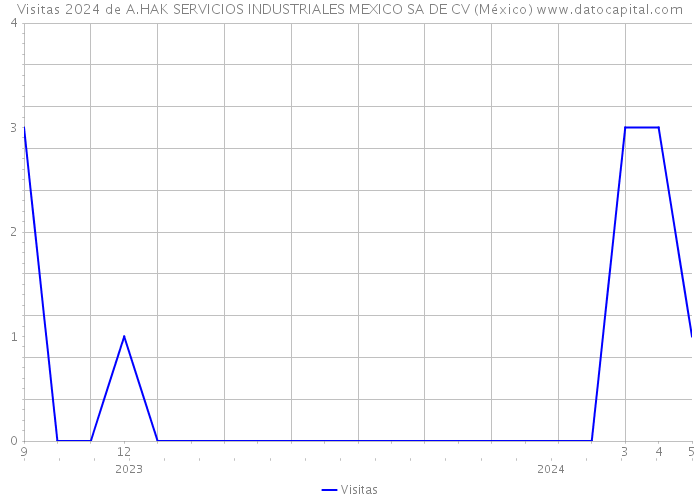 Visitas 2024 de A.HAK SERVICIOS INDUSTRIALES MEXICO SA DE CV (México) 