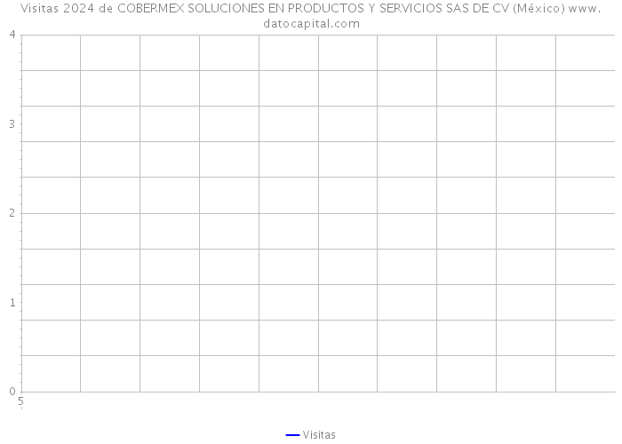 Visitas 2024 de COBERMEX SOLUCIONES EN PRODUCTOS Y SERVICIOS SAS DE CV (México) 