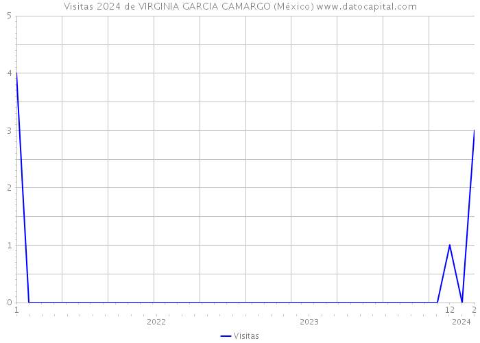 Visitas 2024 de VIRGINIA GARCIA CAMARGO (México) 