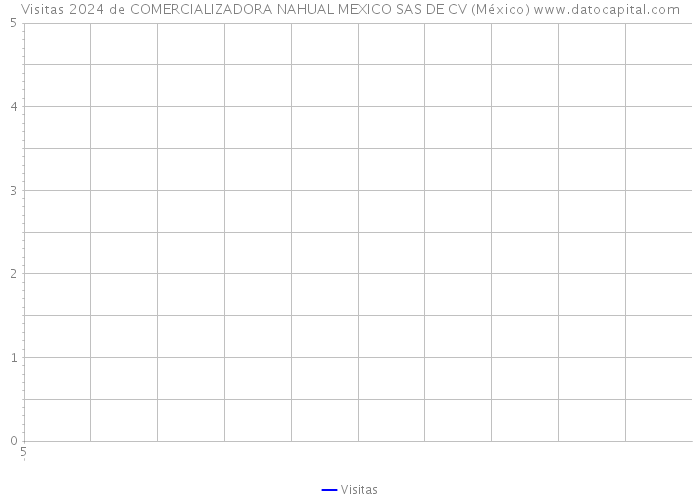 Visitas 2024 de COMERCIALIZADORA NAHUAL MEXICO SAS DE CV (México) 