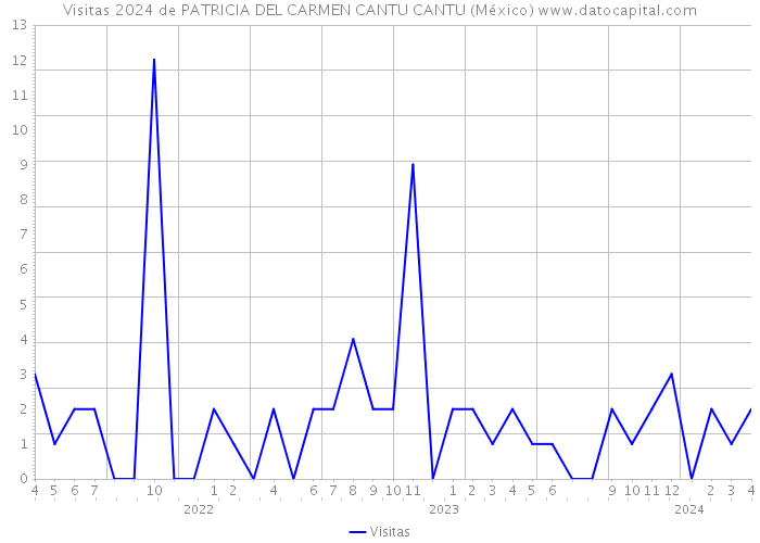 Visitas 2024 de PATRICIA DEL CARMEN CANTU CANTU (México) 