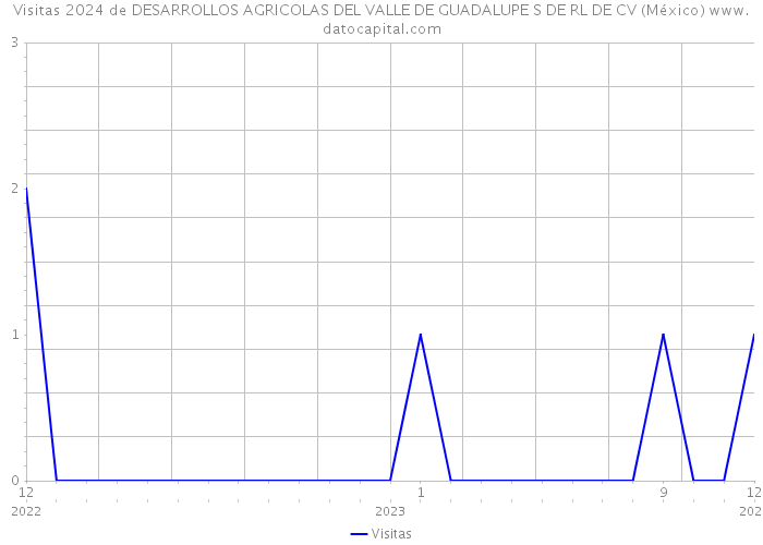 Visitas 2024 de DESARROLLOS AGRICOLAS DEL VALLE DE GUADALUPE S DE RL DE CV (México) 