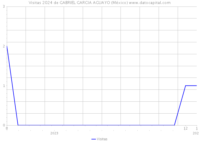 Visitas 2024 de GABRIEL GARCIA AGUAYO (México) 
