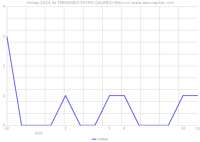 Visitas 2024 de FERNANDO PAYRO GALINDO (México) 