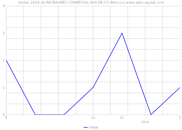 Visitas 2024 de REYBALMEX COMERCIAL SAS DE CV (México) 